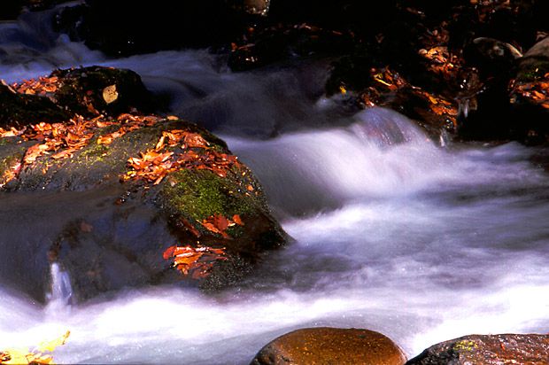 Small waterfall on the Oconaluftee River near Smokemont photo